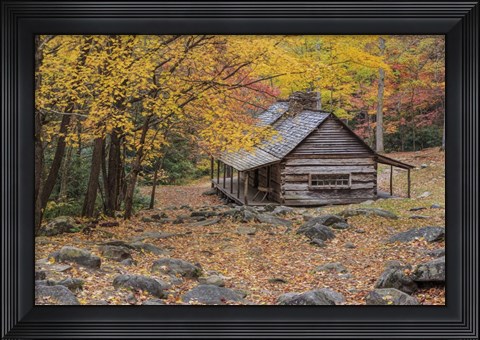 Framed Bud Ogle Cabin Print