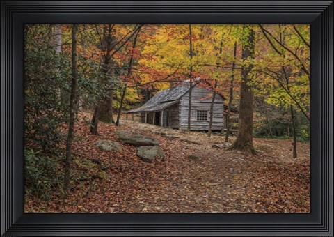 Framed Bud Ogle Place -Composition 2 Print