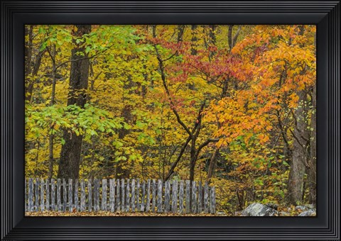 Framed Fall Fence Scene Print
