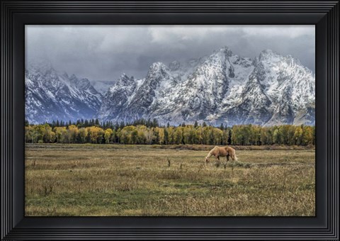 Framed Fine Dining In The Tetons Print