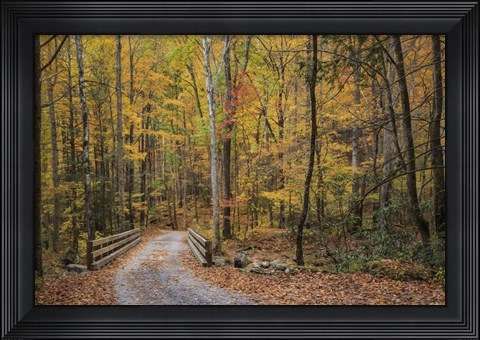 Framed Greenbrier Bridge Path Print