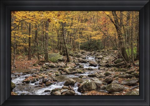 Framed Greenbrier Cascade Print