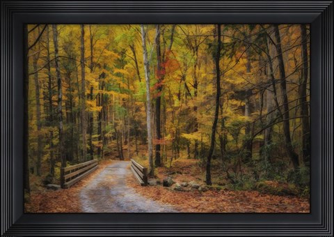 Framed Greenbrier Path Print