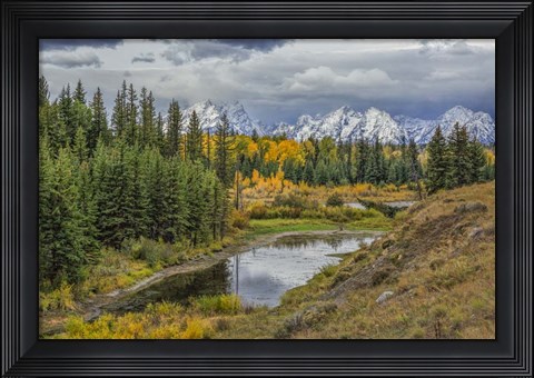 Framed Gtnp Fall Color With Mountains Print