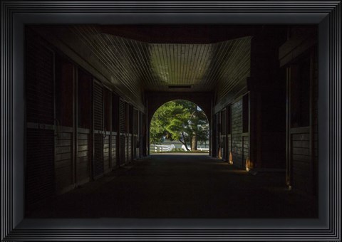 Framed Horse Farm Barn (Inside And Out) Print