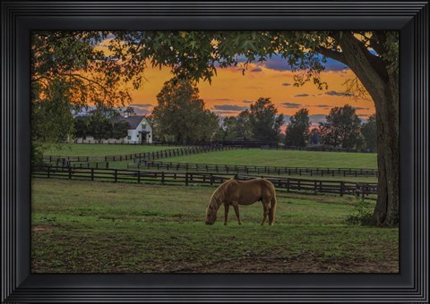 Framed Horse Farm Sunset Print