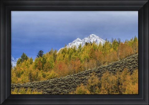Framed Mountain Fall Color Print