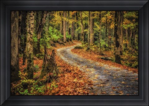 Framed Path In Greenbrier Watercolor Print