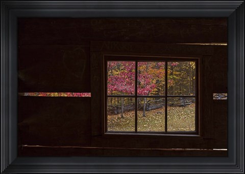 Framed Roaring Fork Cabin Window Print