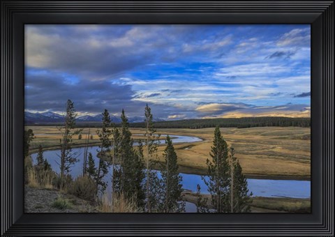Framed S Curve Hayden Valley Print