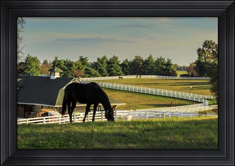 Framed Sunset On The Farm Print