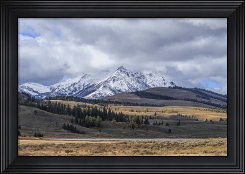 Framed Swan Lake And Electric Peak Print