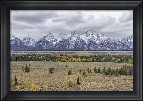 Framed Teton Fall Colors Print
