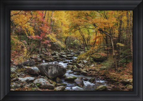 Framed Tremont Stream Watercolor Print