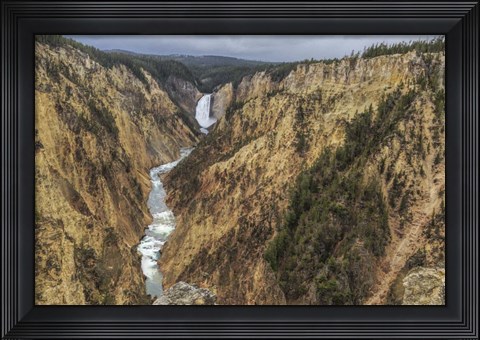 Framed Yellowstone Grand Canyon - Lower Falls Print