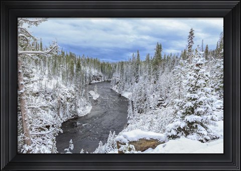Framed Yellowstone Winter In Fall Print