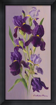 Framed Study In Lavender Print