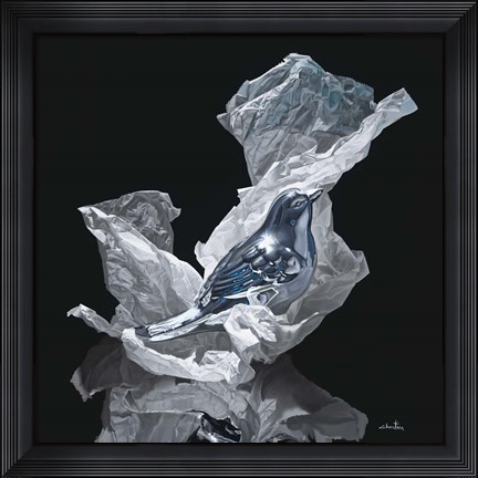 Framed Early Bird Print