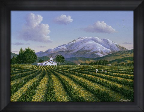 Framed Mount Sta Helena - Napa Valley Print