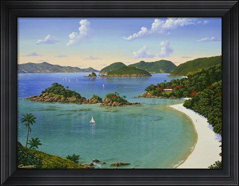 Framed Trunk Bay - Virgin Islands Print