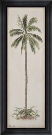 Framed Single Palm tree Print