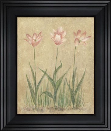 Framed Blooming Tulips II Print