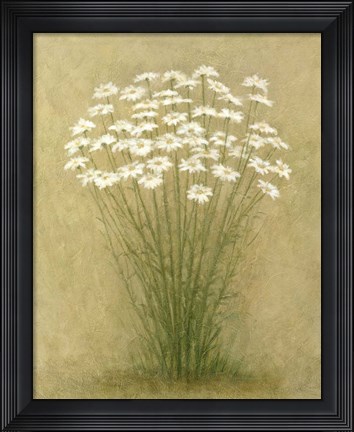 Framed Floral C Print