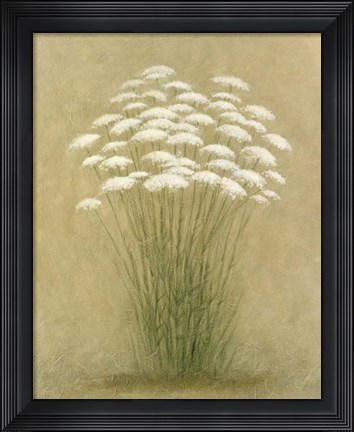 Framed Floral D Print