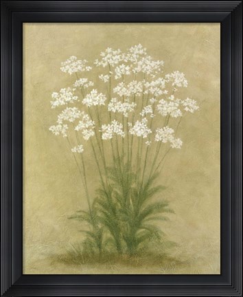 Framed Floral E Print