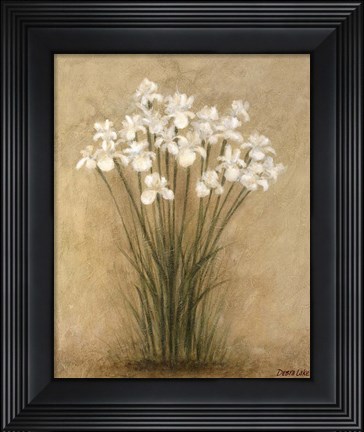 Framed Floral F Print