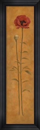 Framed Poppy 2 Print