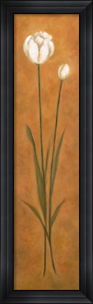 Framed Tulip 1 Print