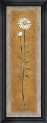 Framed Tall White Daisy Print
