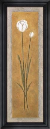 Framed Tall White Tulip Print