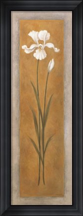 Framed Tall White Iris Print