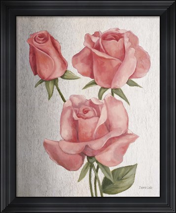 Framed American Classic Rose Print