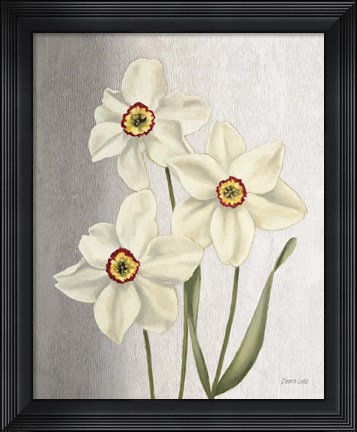 Framed Spring Narcissus Print