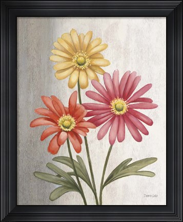 Framed Gerber Daisies Print