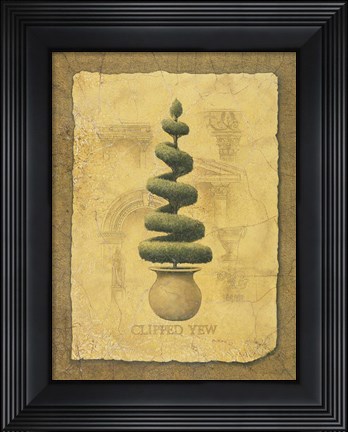 Framed Clipped Yew Print