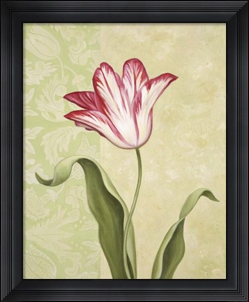 Framed Tulip 2 Print
