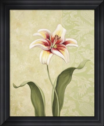 Framed Lily Print