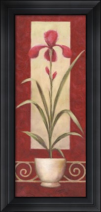 Framed Red Flower In Pot 2 Print