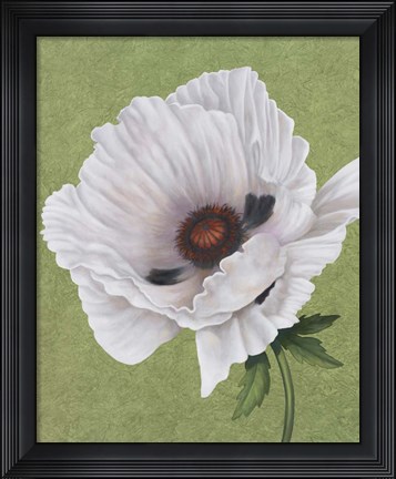 Framed White Poppy Print