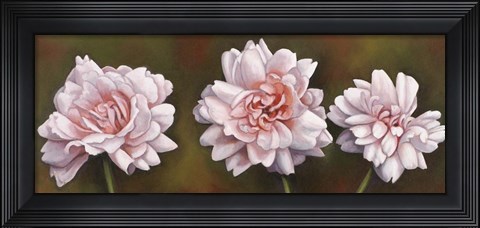 Framed Summer Blossoms 5 Print