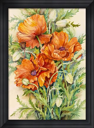 Framed Cluster of Poppies Print