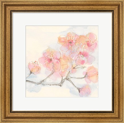 Framed Pink Blossoms III Print