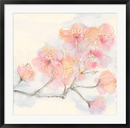 Framed Pink Blossoms III Print