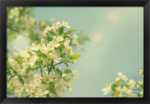 Framed Spring Beauty I Print