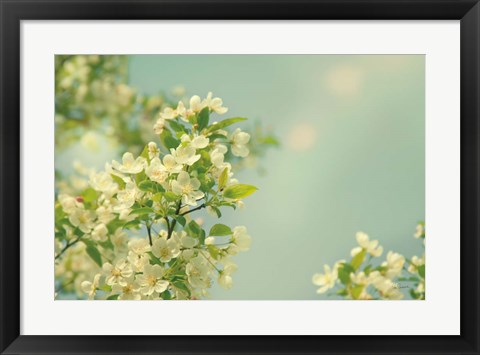 Framed Spring Beauty I Print