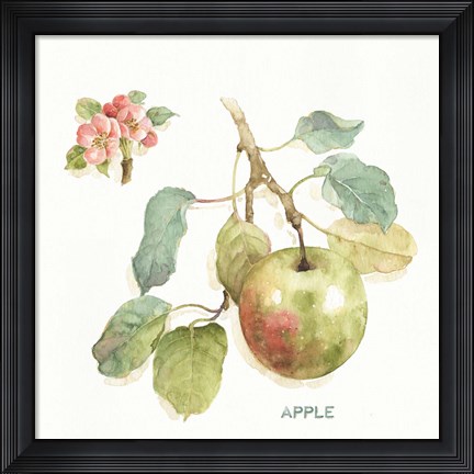 Framed Orchard Bloom I Print